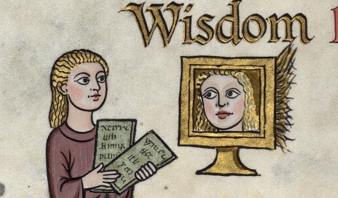 Wisdom ex Machina: The Rules and Their Applications